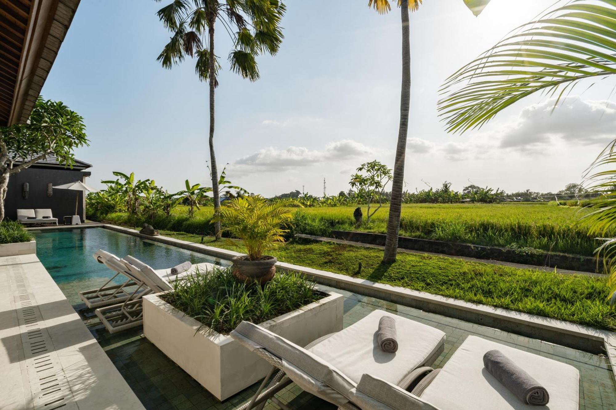 Villa Mimpi By Balisuperhost Ubud Eksteriør billede
